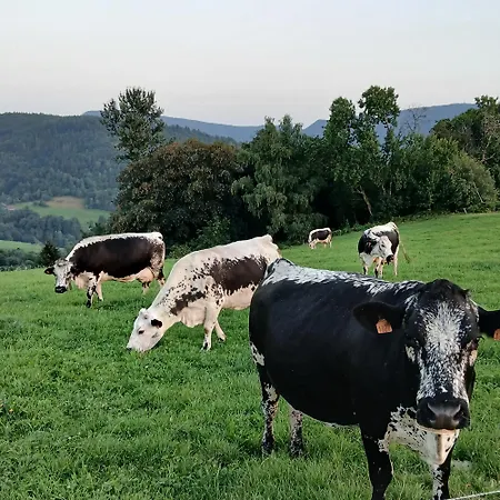 La D'homette Casa de Férias *