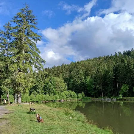 La D'homette * Fresse-sur-Moselle